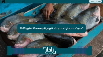 تحديث أسعار الأسماك اليوم الجمعة 30 مايو 2025